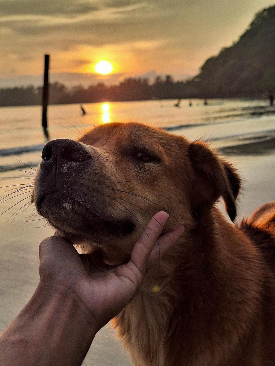 Koh Kood Neverland Beach Resort Ko Kut Kültér fotó