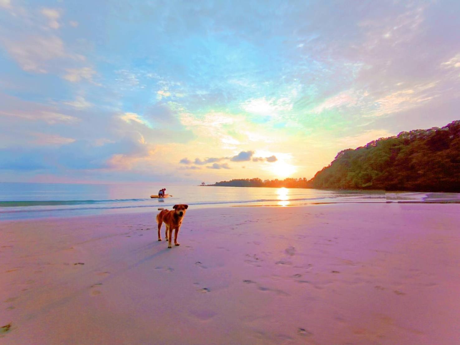 Koh Kood Neverland Beach Resort Ko Kut Kültér fotó